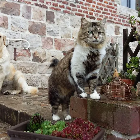 La Rose Laitiere Bed & Breakfast Saint-Martin-sur-Ecaillon