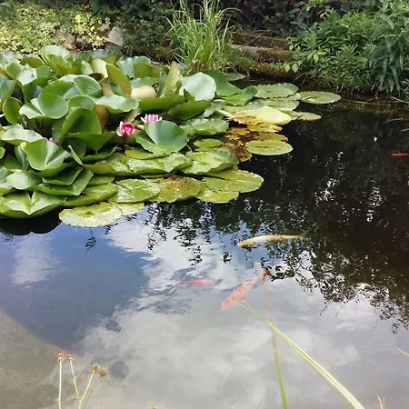 La Rose Laitiere Saint-Martin-sur-Ecaillon
